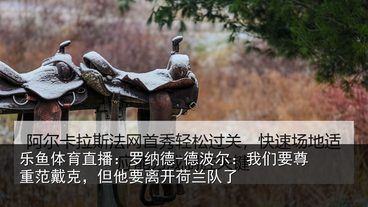乐鱼体育直播:罗纳德-德波尔:我们要尊重范戴克,但他要离开荷兰队了