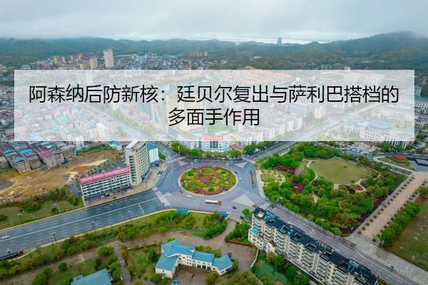 a-sen-na-hou-fang-xin-he-ting-bei-er-fu-chu-yu-sa-li-ba-da-dang-de-duo-mian-shou-zuo-yong-2-422.jpg