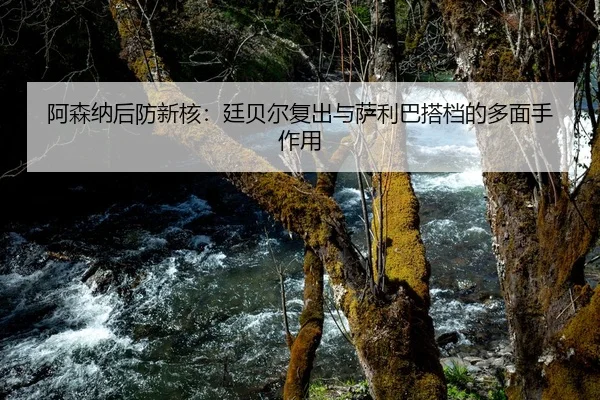 阿森纳后防新核：廷贝尔复出与萨利巴搭档的多面手作用