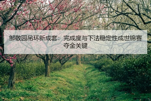 zou-jing-yuan-diao-huan-xin-cheng-tao-wan-cheng-du-yu-xia-fa-wen-ding-xing-cheng-shi-jin-sai-duo-jin-guan-jian-2-358.jpg